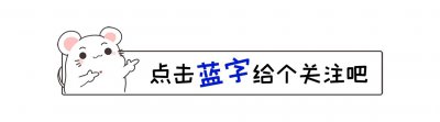 ​乌克兰魅力女星图鉴：时尚与艺术的交汇