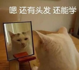 ​30张搞笑表情包大合集，可以收藏哦