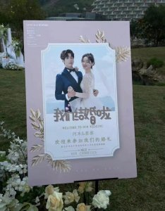 ​哈哈哈！狐妖小红娘婚纱照是换脸刘诗诗吴奇隆
