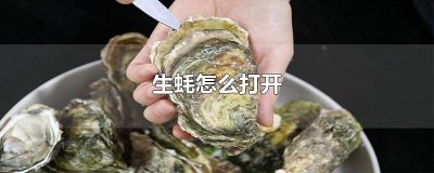 ​生蚝怎么打开