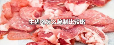 ​生猪肉怎么腌制比较嫩