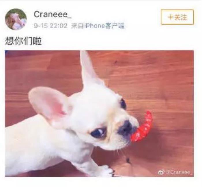 朱正廷女朋友是谁 叫什么名字真的有女朋友了吗