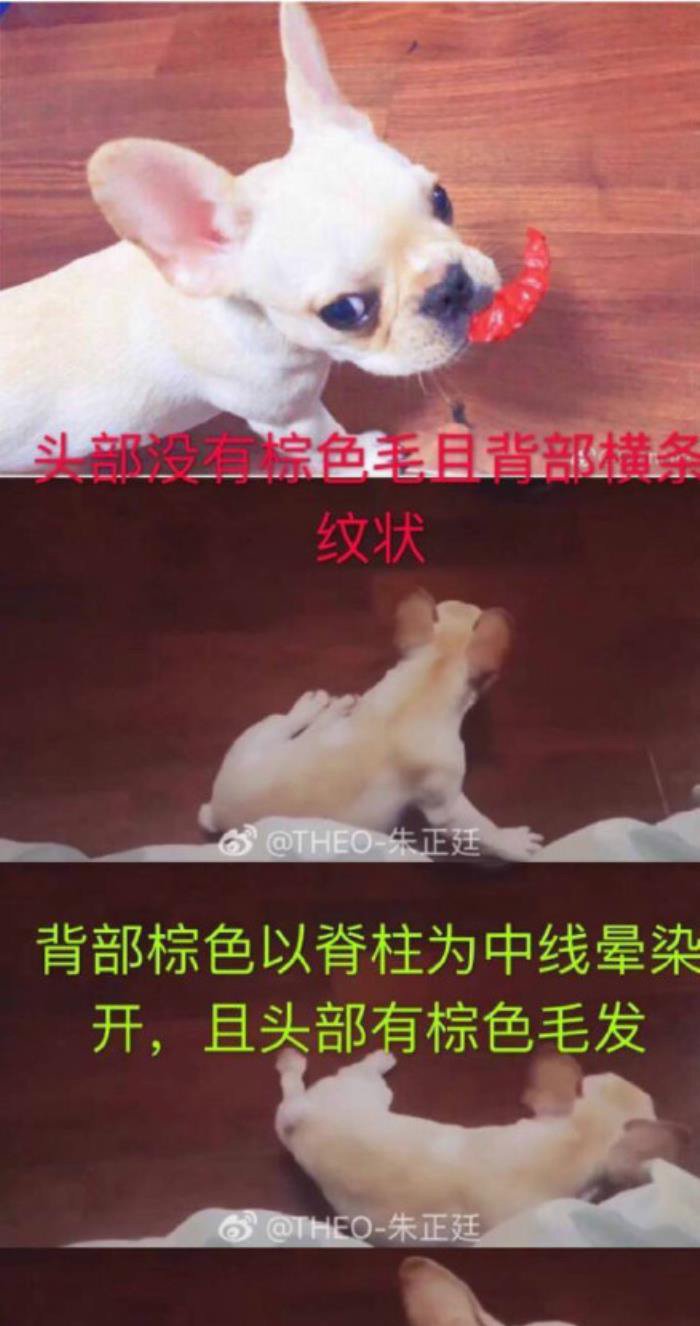 朱正廷女朋友是谁 叫什么名字真的有女朋友了吗