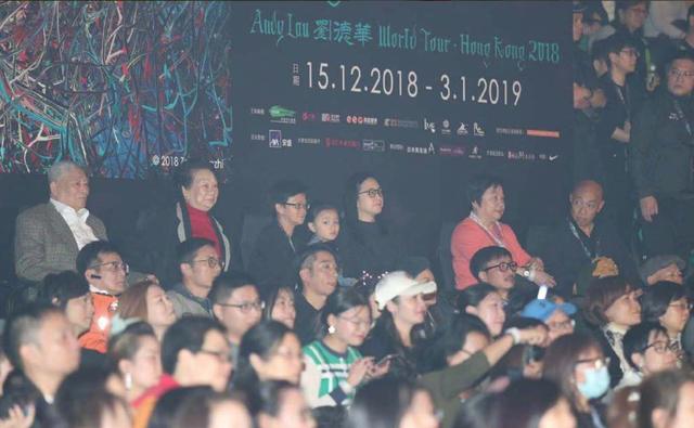 刘德华朱丽倩最新消息（刘德华演唱会6岁女儿首次公开露面）(5)