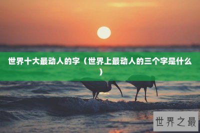 ​世界十大最动人的字（世界上最动人的三个字是什么）
