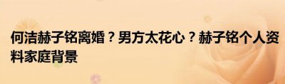​何洁老公赫子铭背景身价曝光与赫子铭是怎么认识的？