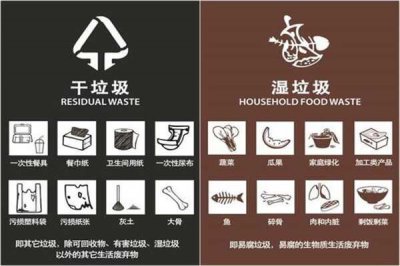 ​科学探索猪能吃的是湿垃圾 猪不能吃的是干垃圾