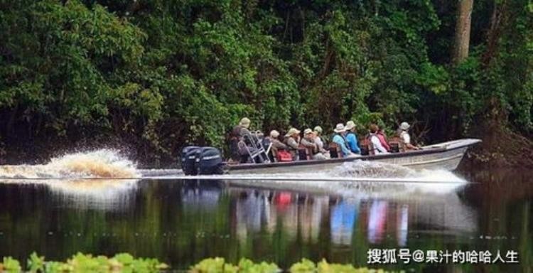 淡水鱼 刺,世界上最大的淡水锯鳐