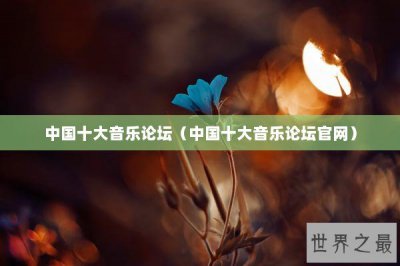 ​中国十大音乐论坛（中国十大音乐论坛官网）