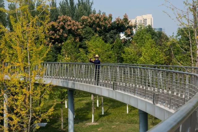 成都适合儿童玩的十大地方（成都必去的十大景点）