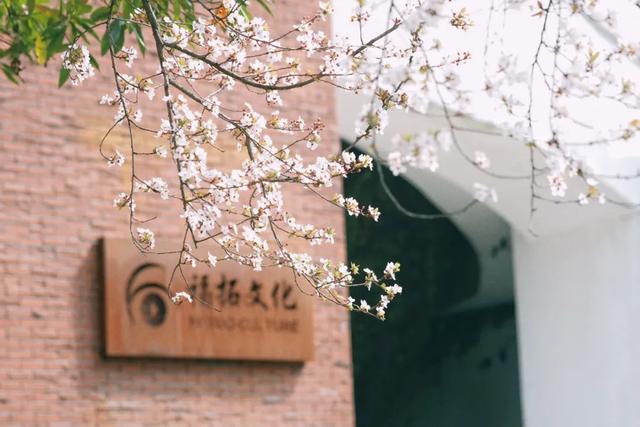 成都适合儿童玩的十大地方（成都必去的十大景点）