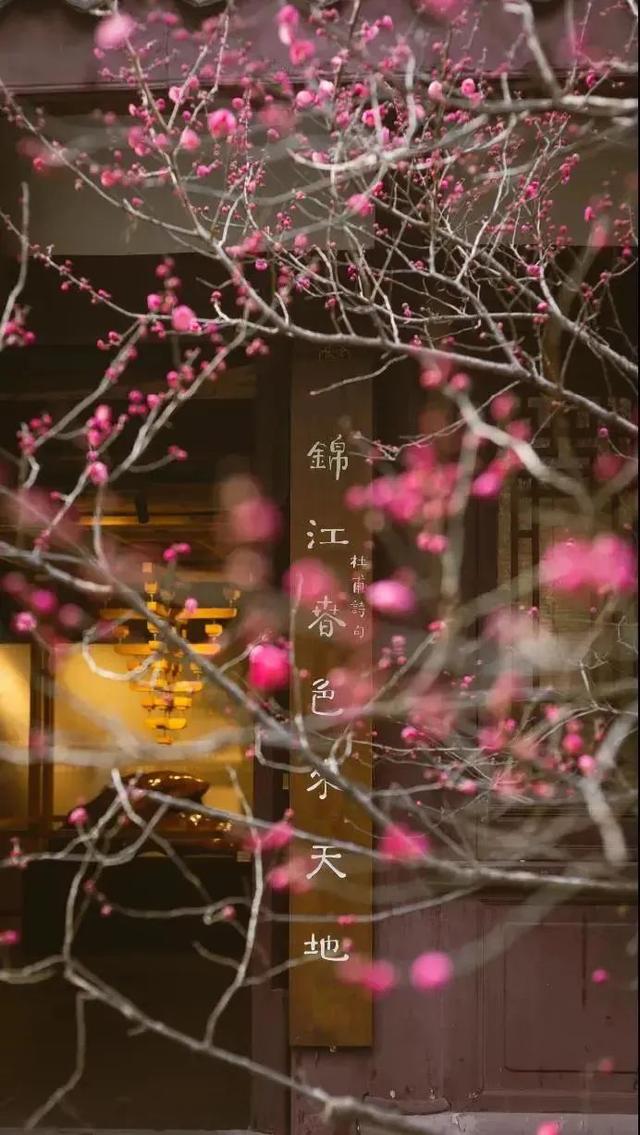 成都适合儿童玩的十大地方（成都必去的十大景点）