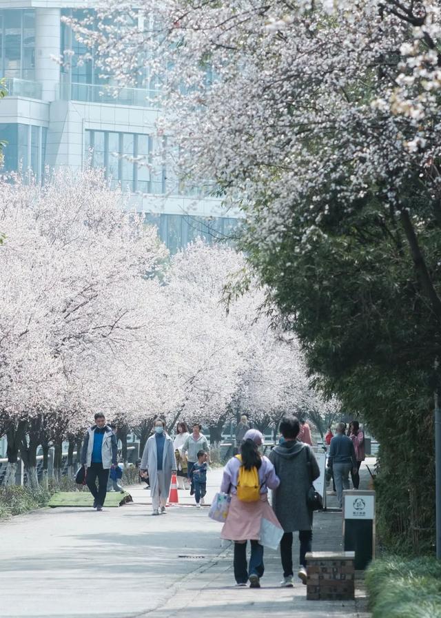 成都适合儿童玩的十大地方（成都必去的十大景点）