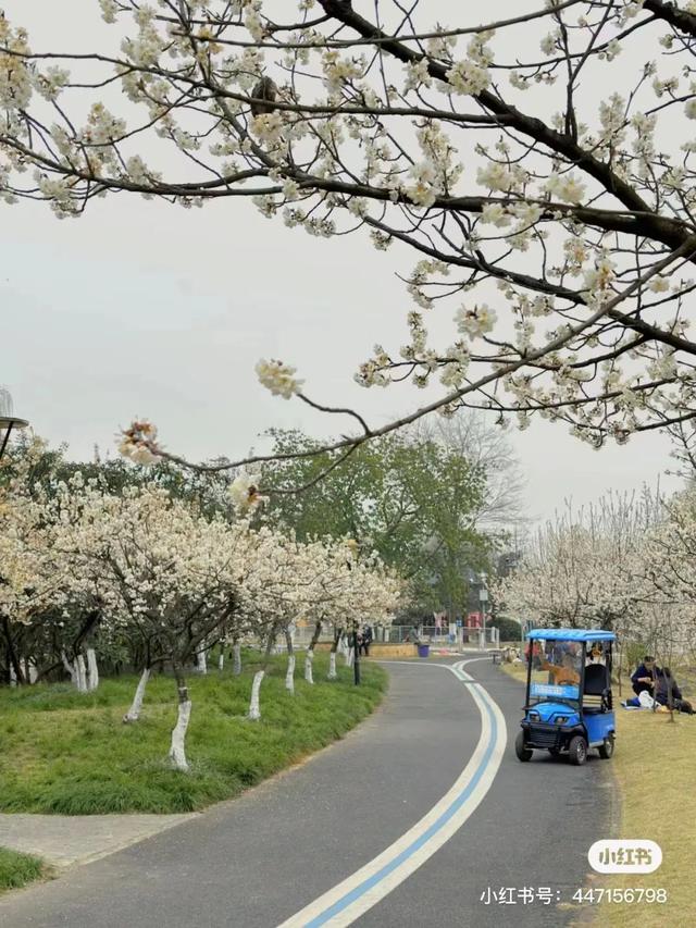 成都适合儿童玩的十大地方（成都必去的十大景点）