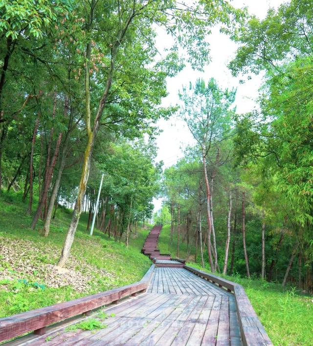 成都适合儿童玩的十大地方（成都必去的十大景点）