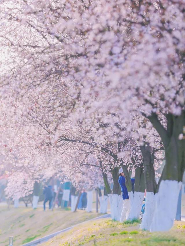 成都适合儿童玩的十大地方（成都必去的十大景点）