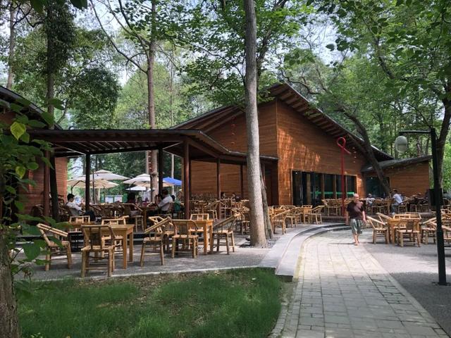 成都适合儿童玩的十大地方（成都必去的十大景点）