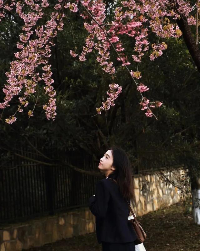 成都适合儿童玩的十大地方（成都必去的十大景点）