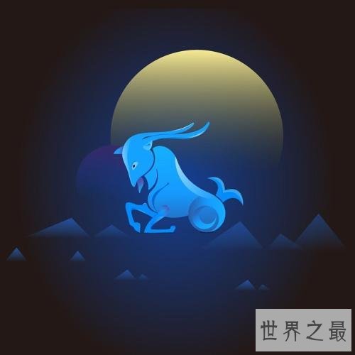 摩羯座外传，我可能只是因为怕冷，才选择了沉默