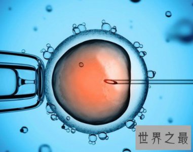 ​人体最大的细胞，直径足足有200微米