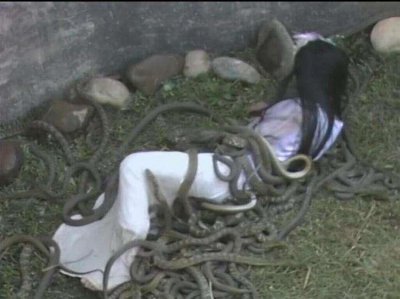 ​虿(chài)盆之刑过程图太残忍胆小慎点受过虿盆之刑的人如何逃生