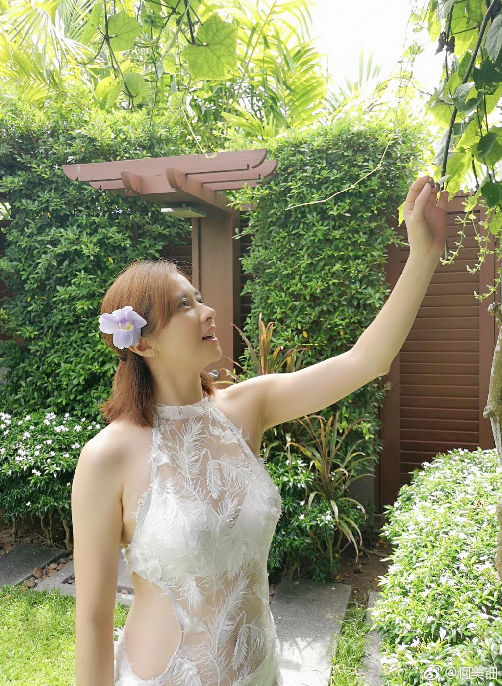 何美钿的老公王小龙资料 何美钿为什么隐退不火了