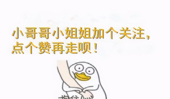 中国十大名猫（中国本土的靓猫个个仙气飘飘）