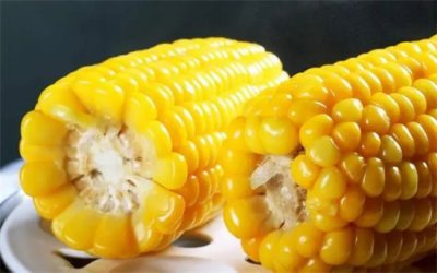 ​玉米水煮多少分钟才能熟透好吃吗