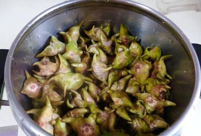 一个菱角可食用部分多少克