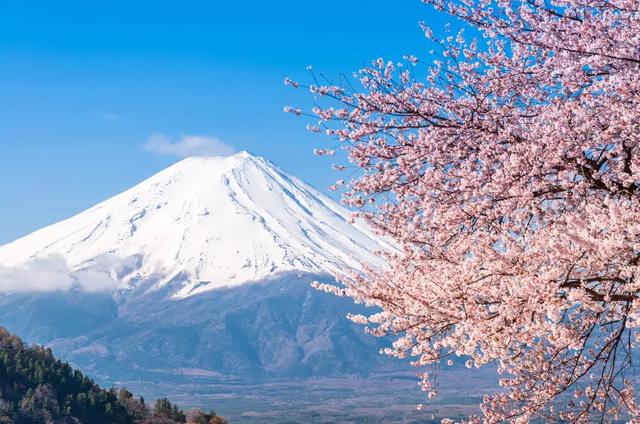 日本的富士山是私有财产（日本富士山是私人财产）(14)