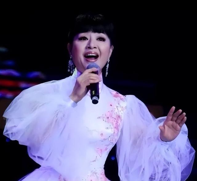歌唱家殷秀梅今年多大年龄了（歌唱家殷秀梅二婚在飞机上）(17)