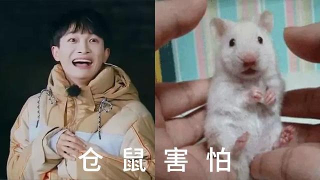 周深成名后有什么变化（出道7年从被淘汰）(24)