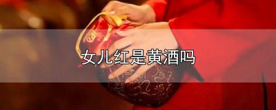 ​女儿红是什么黄酒 女儿红黄酒度数多高