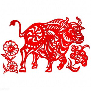 ​12生肖配对：四组天作之合，同甘苦共患难，守望百年同心