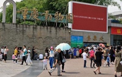 ​重庆有座公园已延续64年，人气一直居高不下
