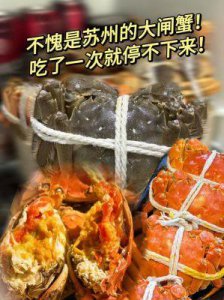 ​朱敏瀚健康引担忧，食量惊人背后暗藏风险