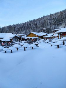​冬日浪漫之地：探访东北雪乡的魅力