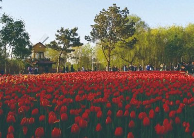 ​走进长春！100个网红打卡地之长春公园
