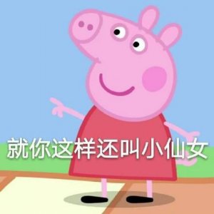 ​一波小猪佩奇表情包合集