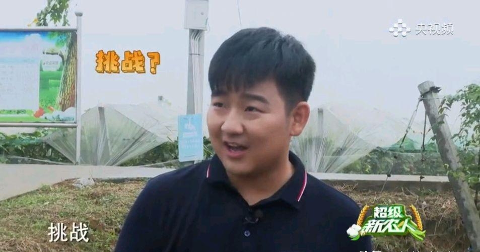 有个主持人叫什么波(男主持人叫什么波)  第3张