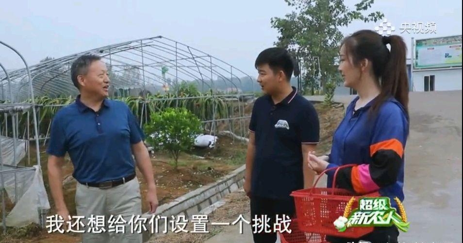 有个主持人叫什么波(男主持人叫什么波)  第7张