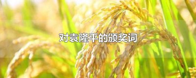 ​对袁隆平的颁奖词