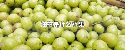 ​柑橘是热带水果吗 柑是热性水果吗