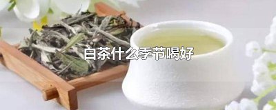 ​福建白茶适合什么季节喝 福鼎白茶什么季节的茶好