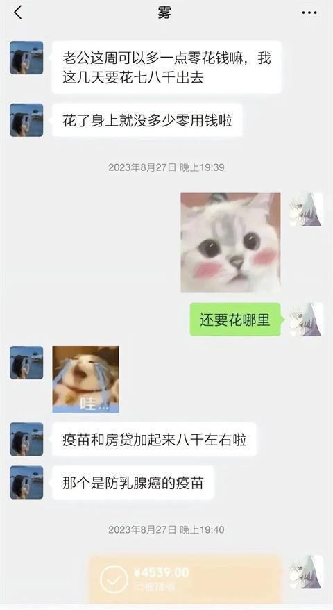 胖猫：游戏中的通天代，爱情里的苦命人