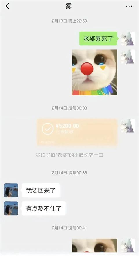 胖猫：游戏中的通天代，爱情里的苦命人
