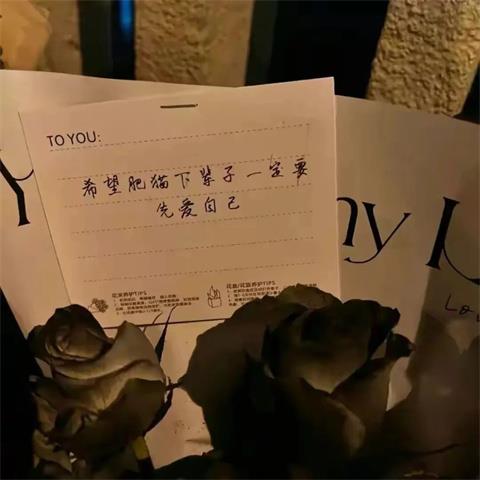 胖猫：游戏中的通天代，爱情里的苦命人