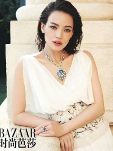 ​舒淇资料，女演员舒淇简历(舒淇简历及个人资料简介)