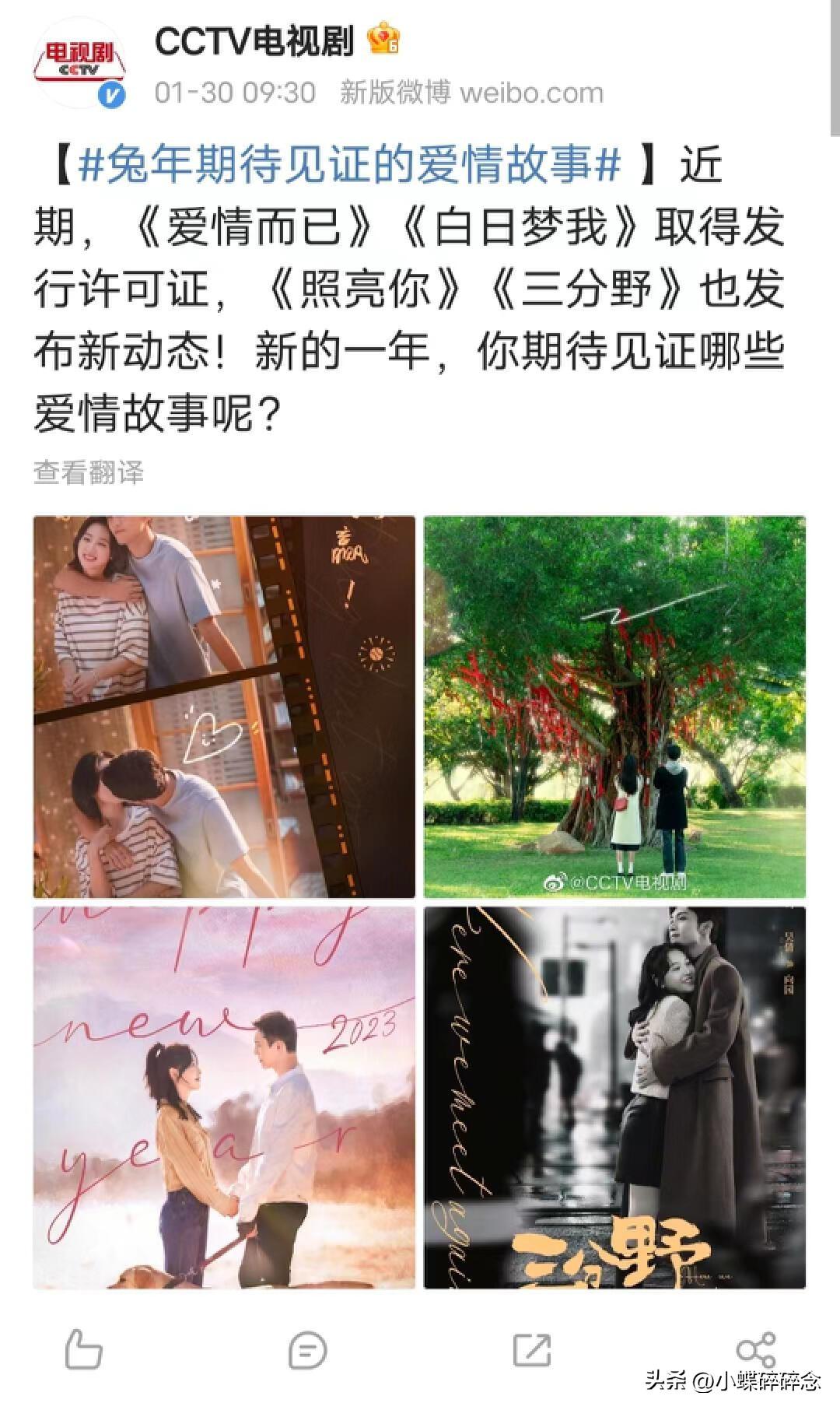 2025年青春偶像剧有哪些剧（央视推荐的四部甜蜜偶像剧）