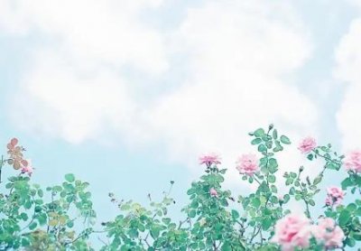 ​趣知识：油炸糖裹花生米的做法裹糖油炸花生的做法